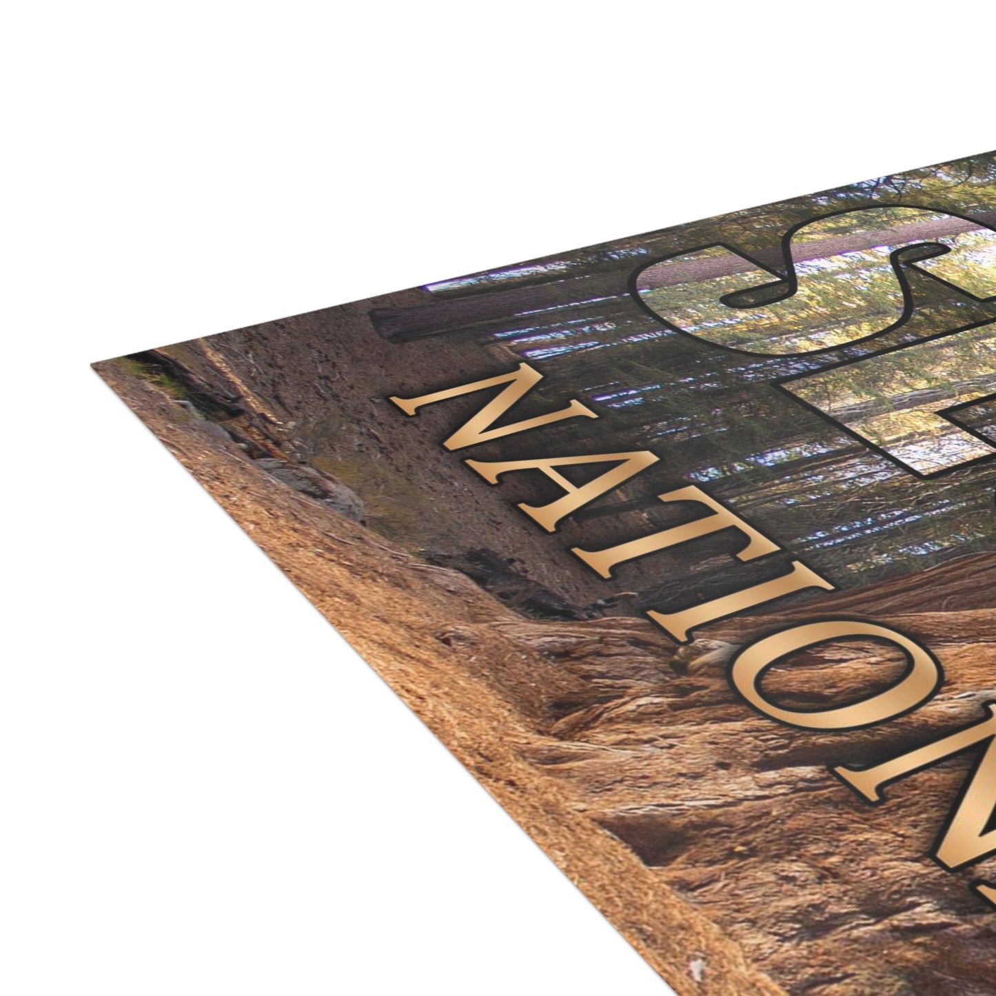 Sequoia National Park Postcards
