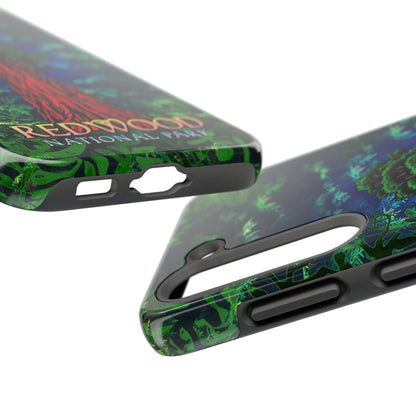 Redwood National Park Phone Cases