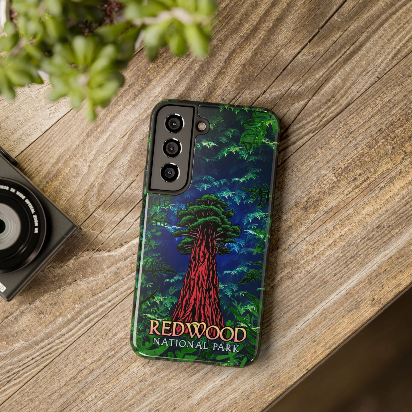 Redwood National Park Phone Cases