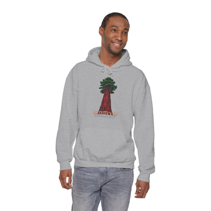 Redwood National Park Unisex Gildan Heavy Blend™ Hooded Sweatshirt