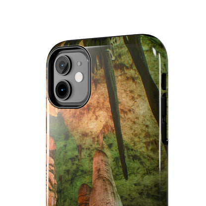 Carlsbad Caverns National Park Phone Cases