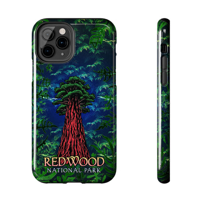Redwood National Park Phone Cases