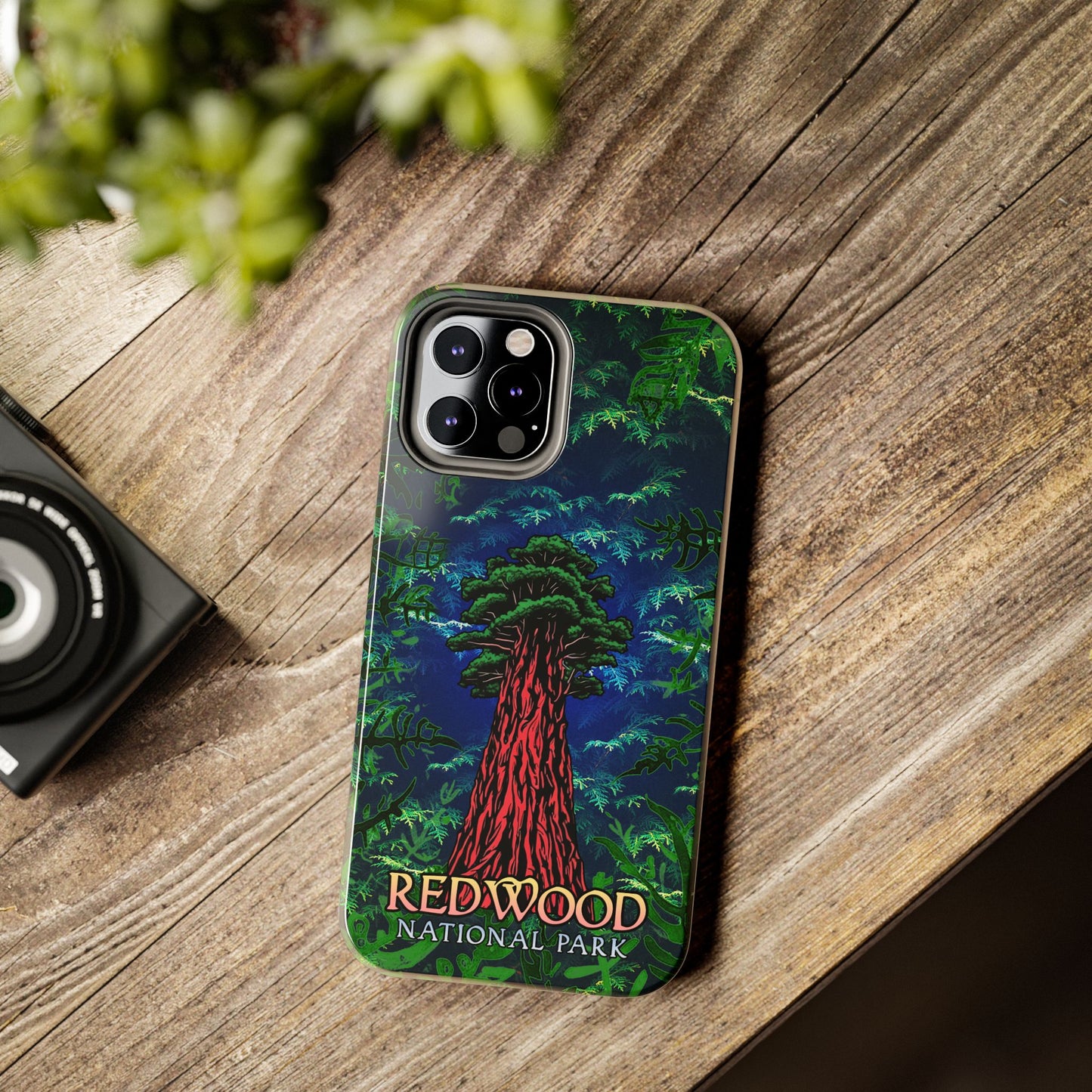 Redwood National Park Phone Cases