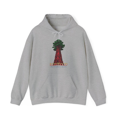 Redwood National Park Unisex Gildan Heavy Blend™ Hooded Sweatshirt