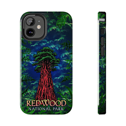 Redwood National Park Phone Cases