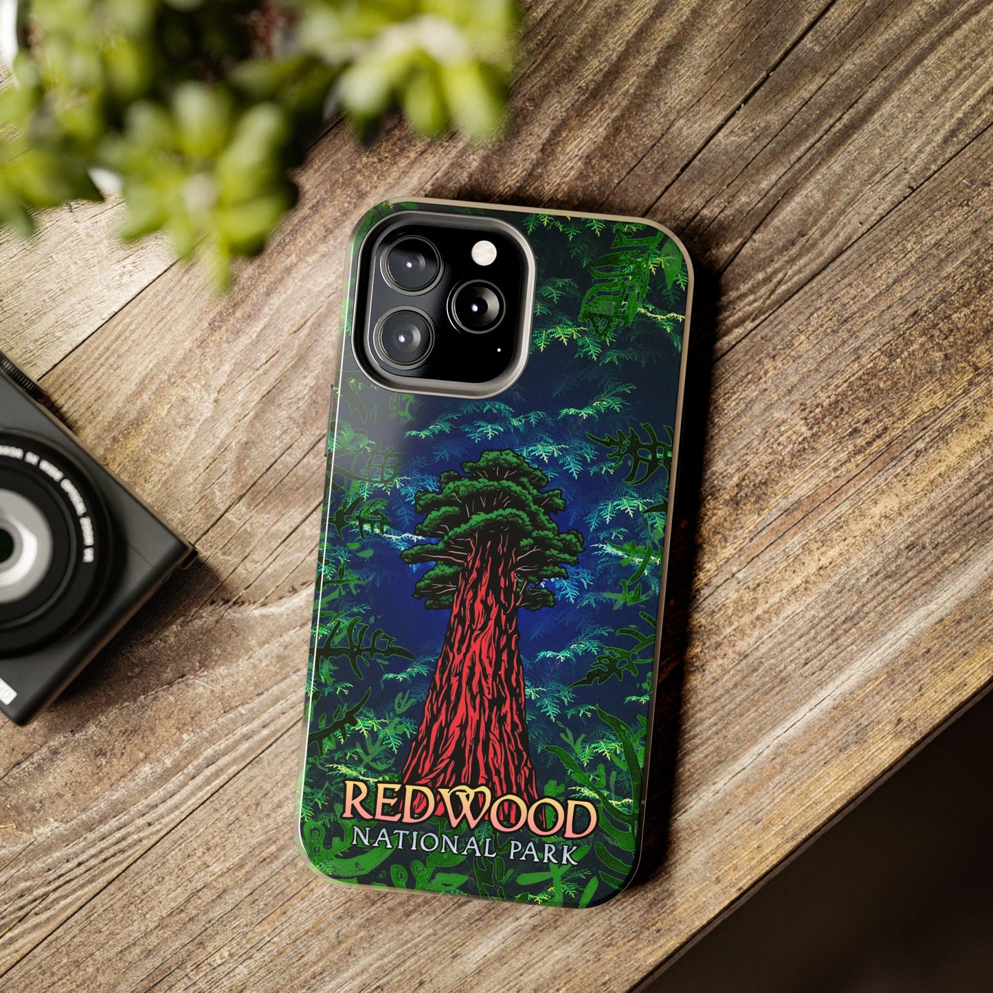 Redwood National Park Phone Cases