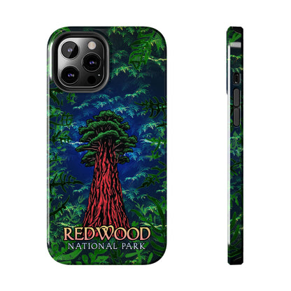Redwood National Park Phone Cases