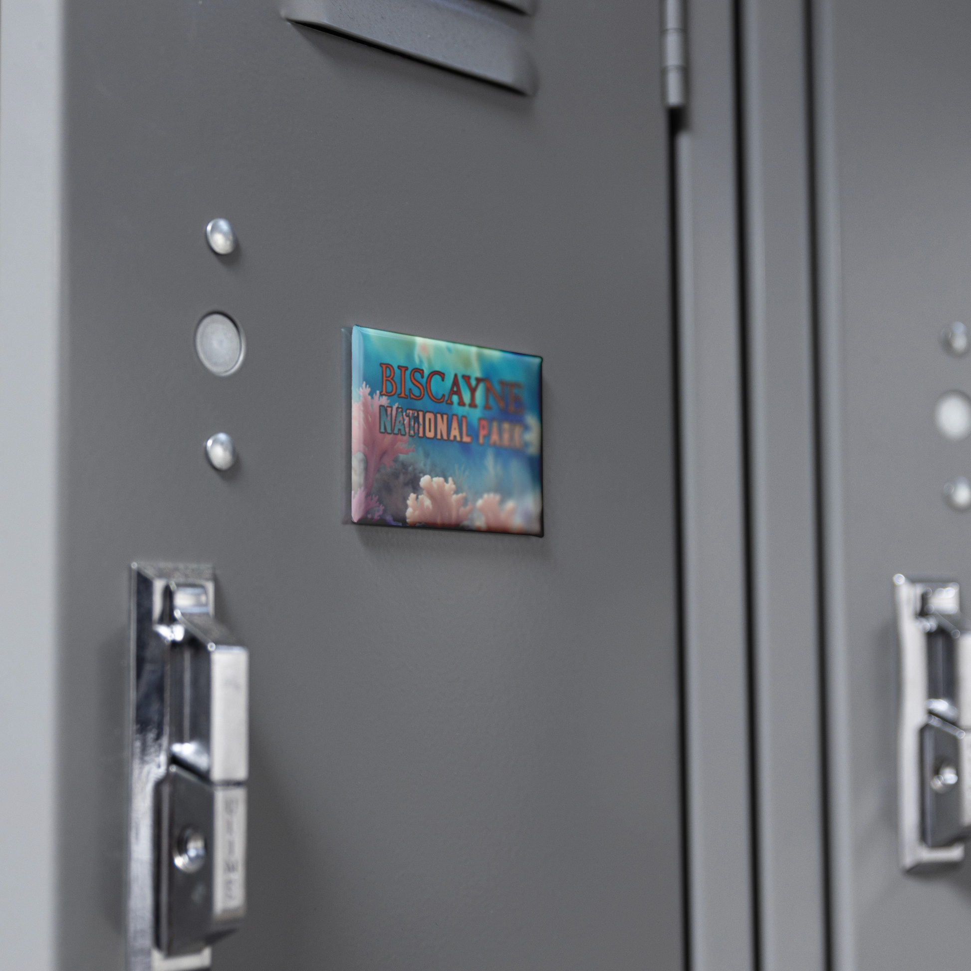 Biscayne_National_Park_Refrigerator_Magn_RectangleButtonMagnet_H_Locker_Mockup.png