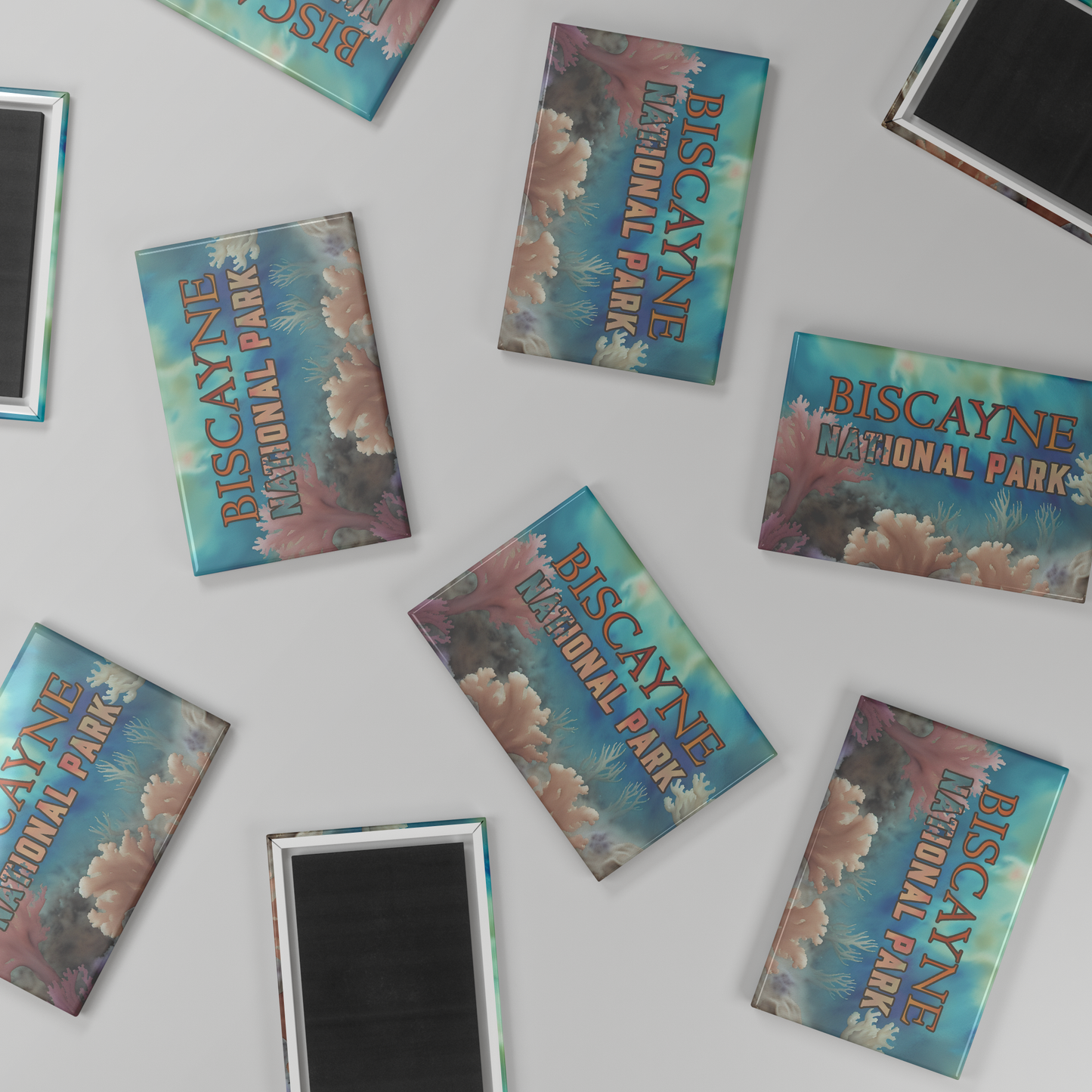 Biscayne_National_Park_Refrigerator_Magn_RectangleButtonMagnet_H_Scatter_Mockup.png