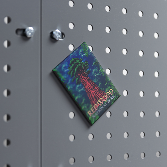 Redwood_National_Park_Refrigerator_Magne_RectangleButtonMagnet_H_Workspace_Mockup.png_15496067