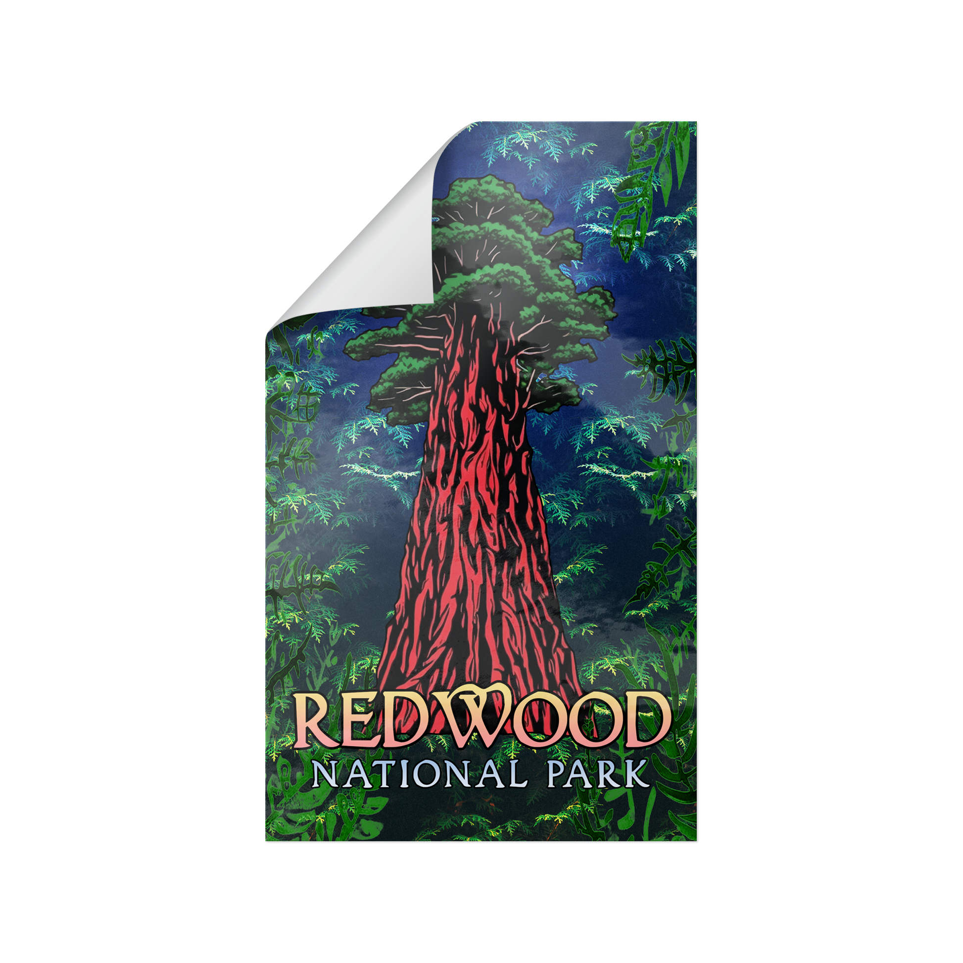 Redwood_National_Park_Stickers_WhiteRecSticker_Peel_V_Mockup.png_15498970