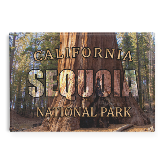 Sequoia_National_Park_Refrigerator_Magne_RectangleButtonMagnet_H_Main_AS_Mockup.png