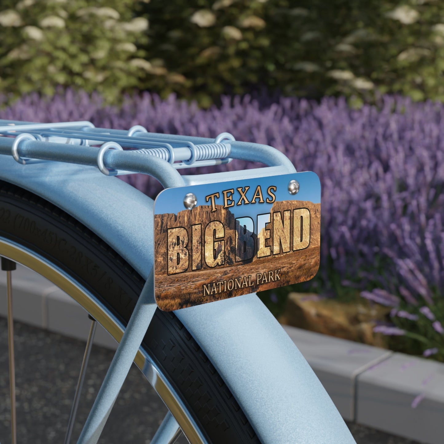 Big Bend National Park Custom LIcense Plate